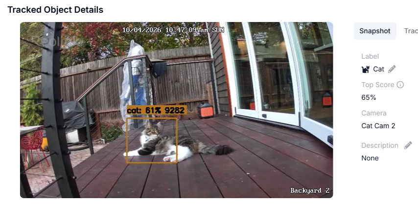 Frigate tracked object: cat detected